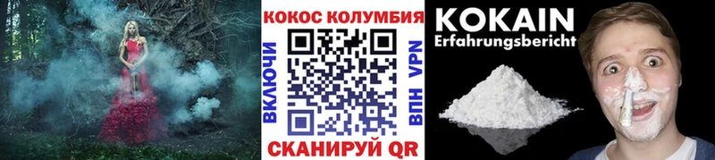 COCAIN Fish Scale  Строитель 